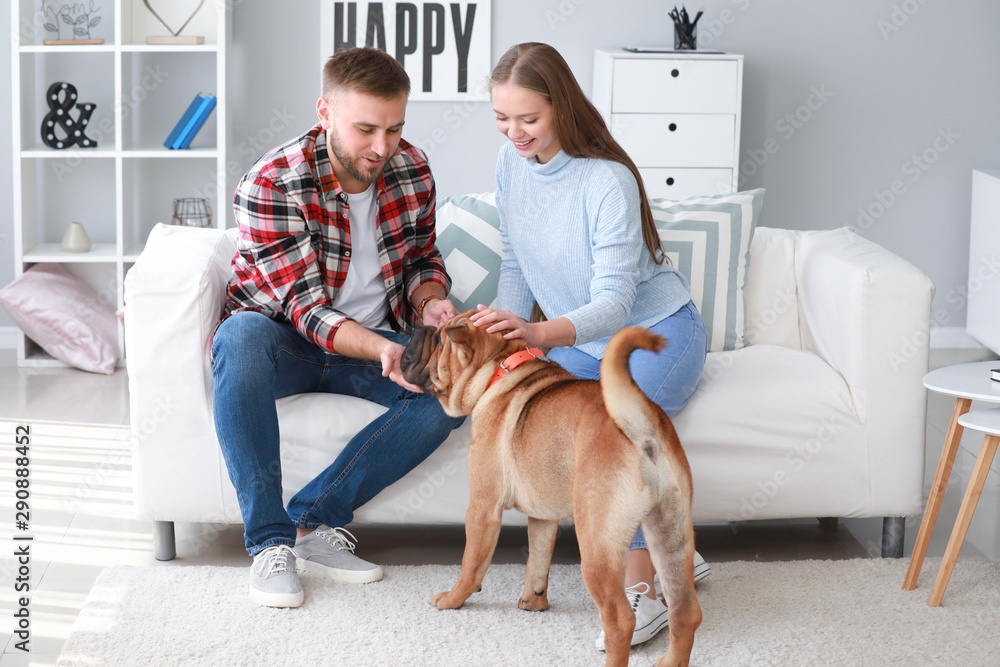 Happy couple playing with cute dog at home