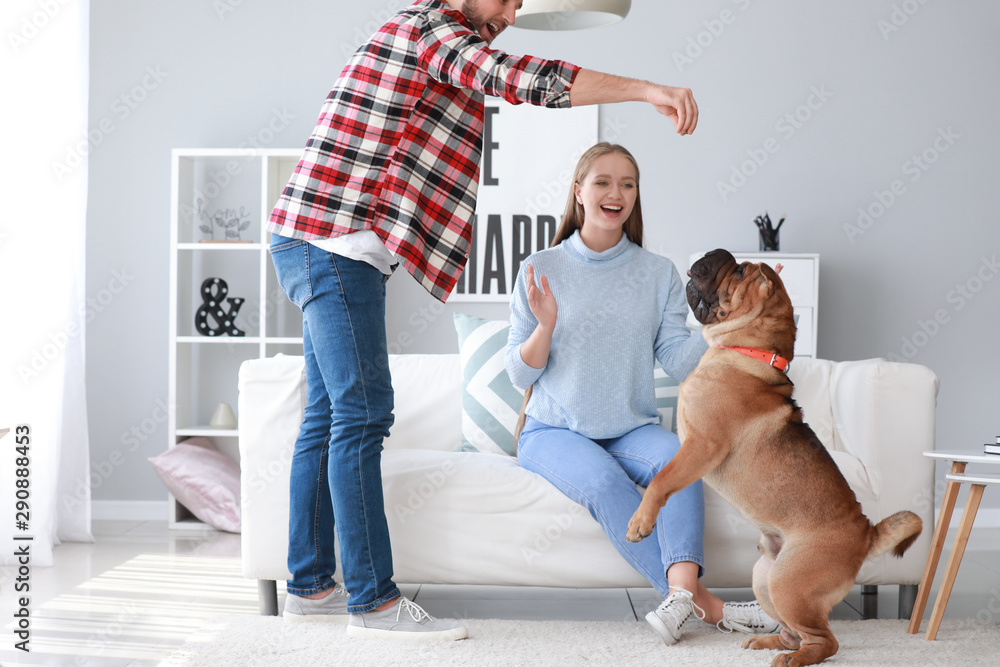 Happy couple training cute dog at home