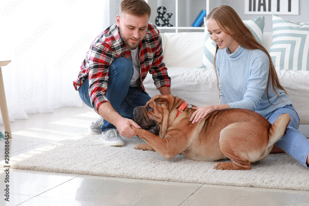 Happy couple with cute dog at home