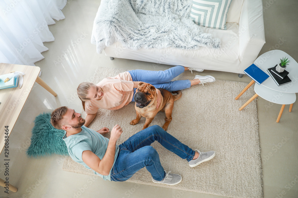 Happy couple with cute dog at home