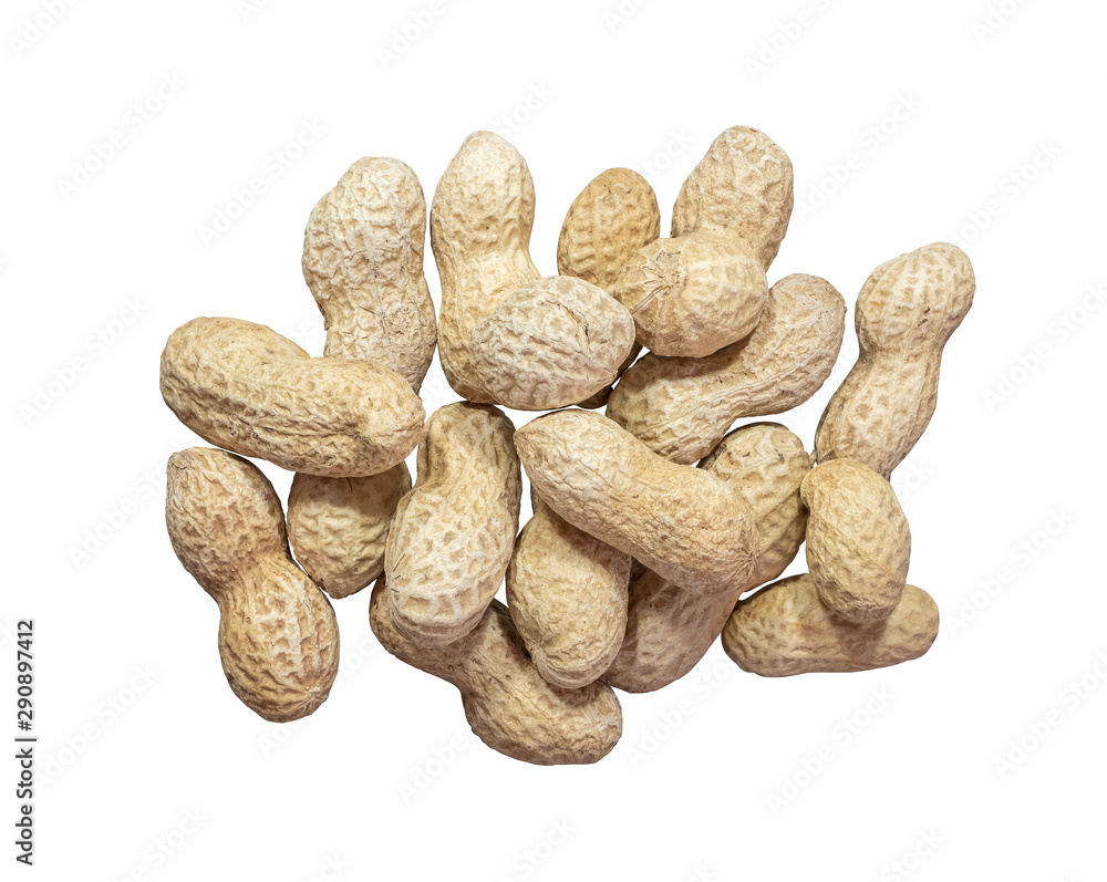 Groundnut or peanut stack together isolated on white background.Scientific name is Arachis hypogaea.