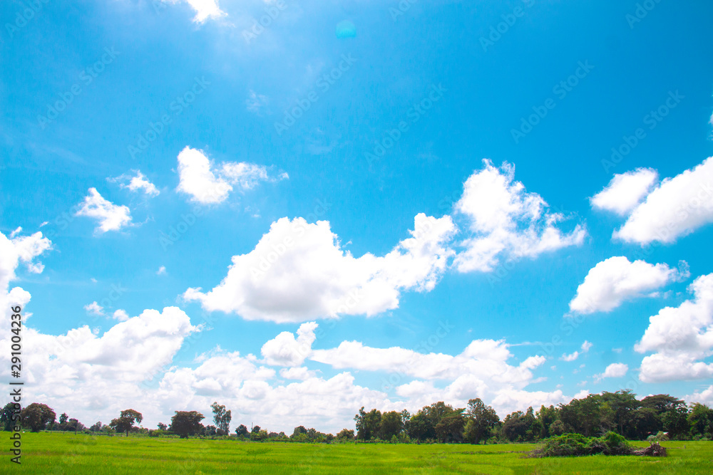 White clouds in Blue sky with meadow tree,  the beautiful sky with clouds have copy space for the la