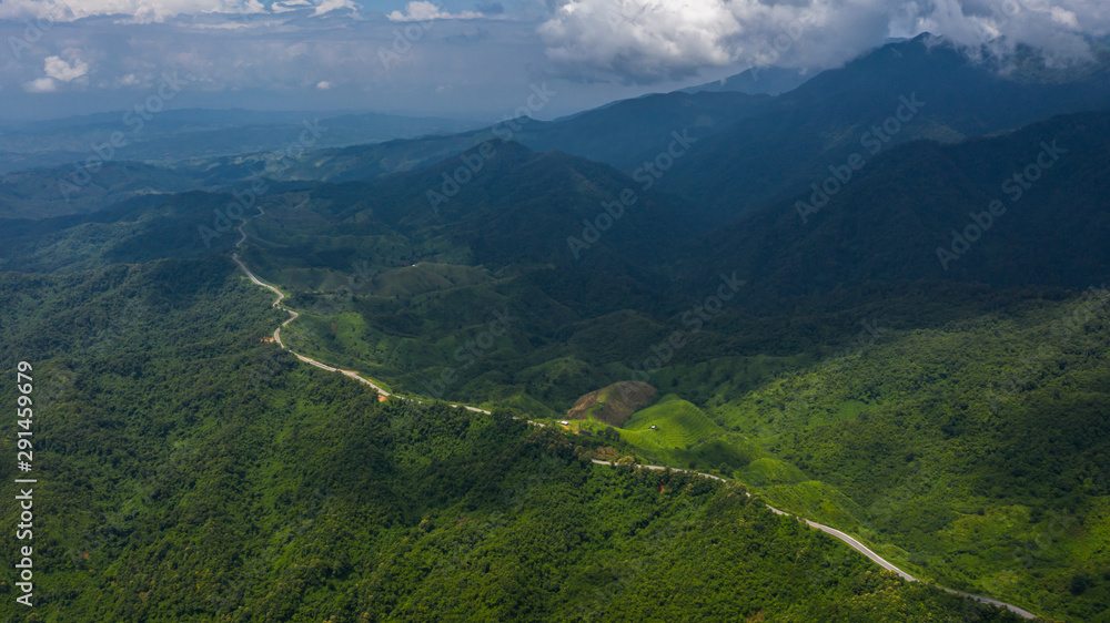 绿色森林山公路鸟瞰图，森林公路鸟瞰图。