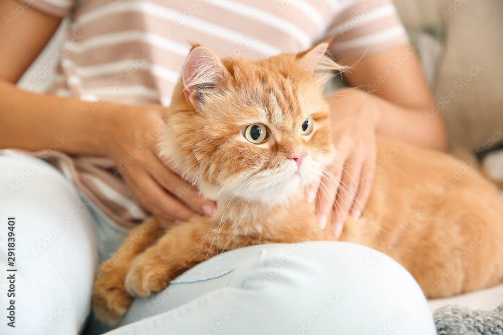 家里养着可爱猫的年轻非裔美国妇女