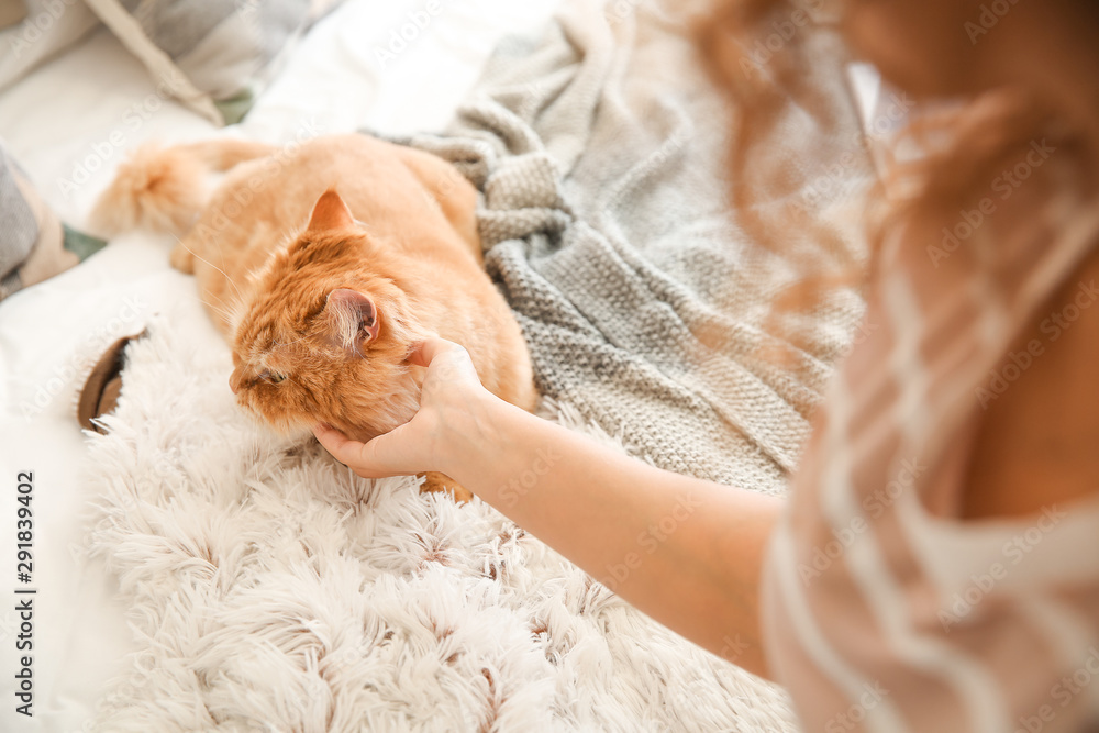 家里养着可爱猫的年轻非裔美国妇女