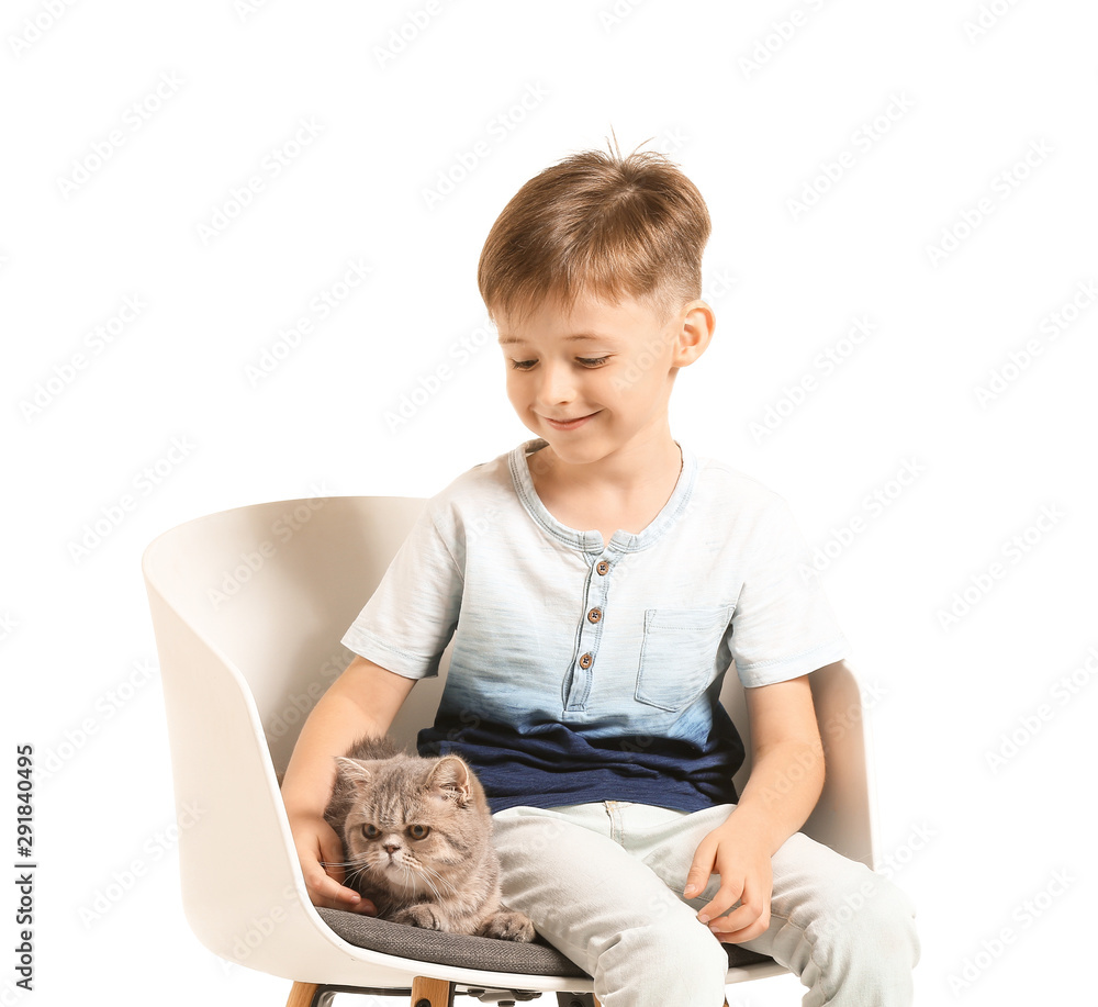 Little boy with cute cat sitting on chair against white background