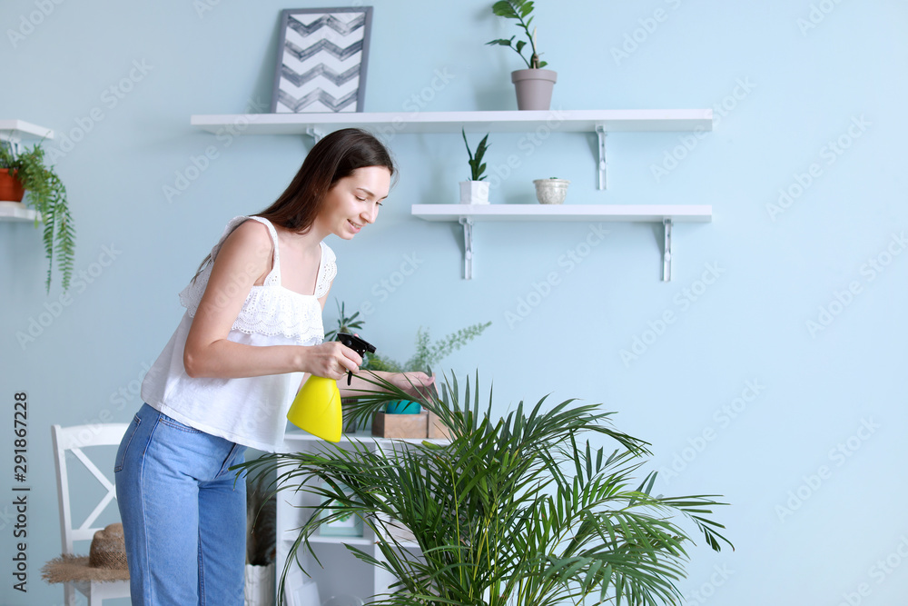 年轻女子在家里向室内植物喷水