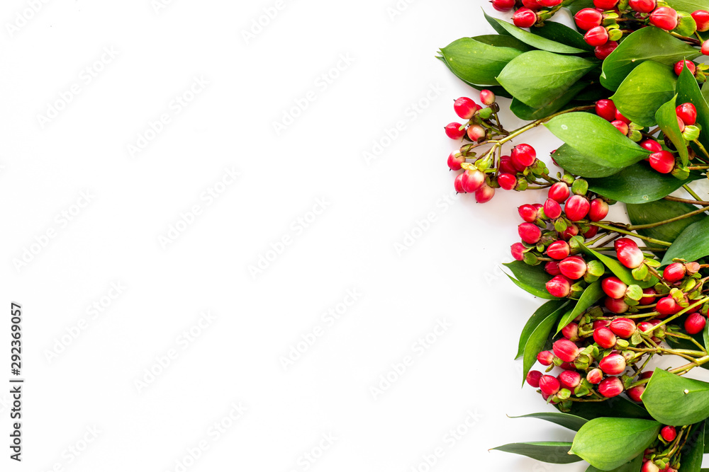 Background for blog with green plant and berries frame on white background top view space for text