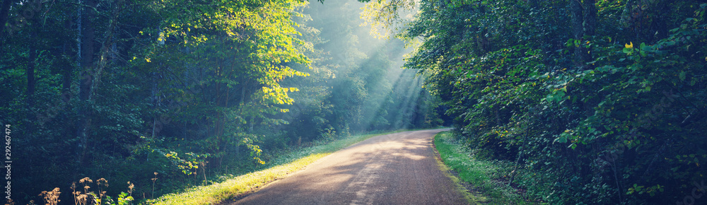 Asphalt road on early autumnal morning