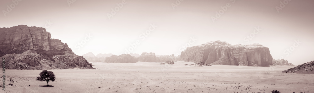 劳伦斯源头的Wadi Rum-Lonley树全景方法（Vintage BW）