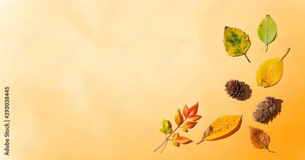 Autumn leaves from above - overhead view flat lay