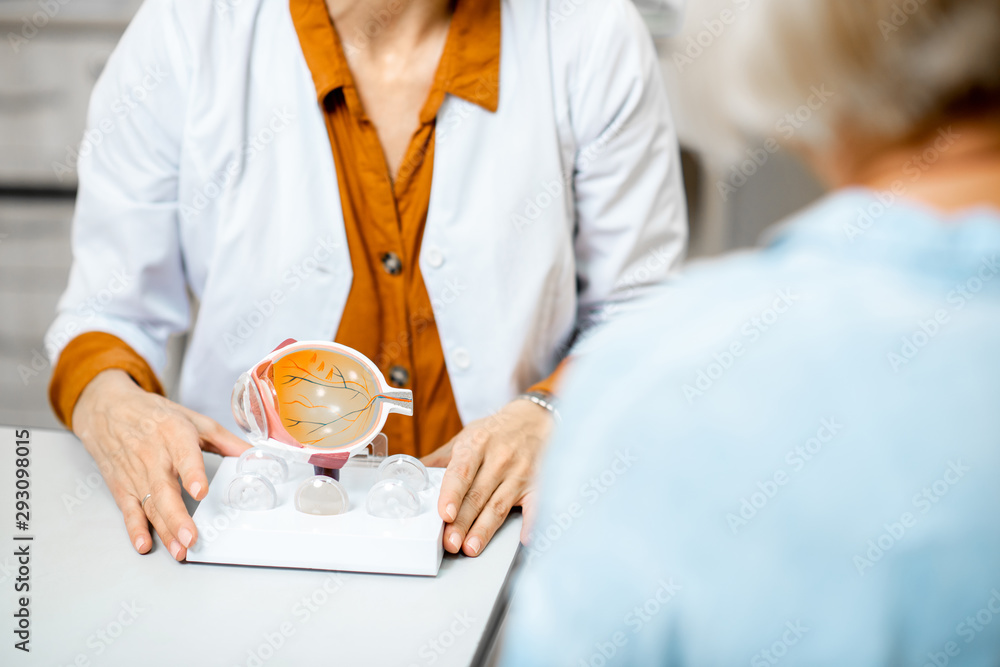 Female ophthalmologist showing the eye model to a senior patient during a medical consultation in th