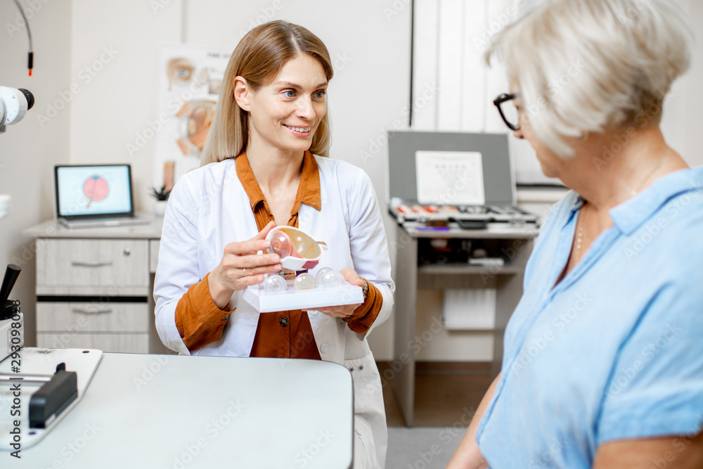 Female ophthalmologist showing the eye model to a senior patient during a medical consultation in th