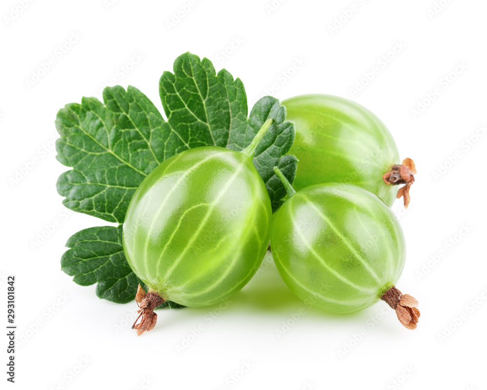 Fresh gooseberry with leaves