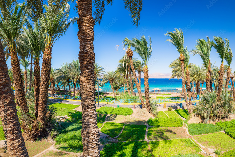 Gardening AreaAl Ghandour Beach in Aqaba