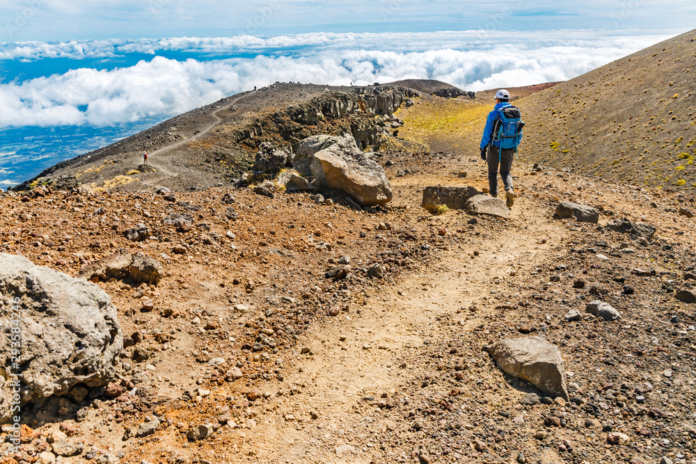 雲の上の登山道.岩手山山頂付近