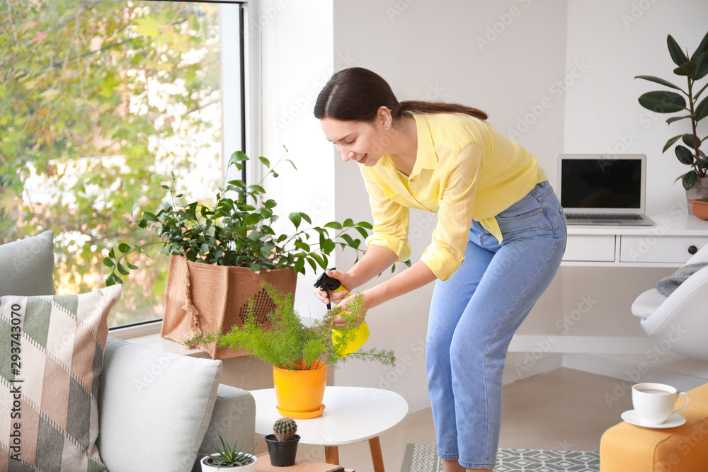 年轻女子在家里向室内植物喷水