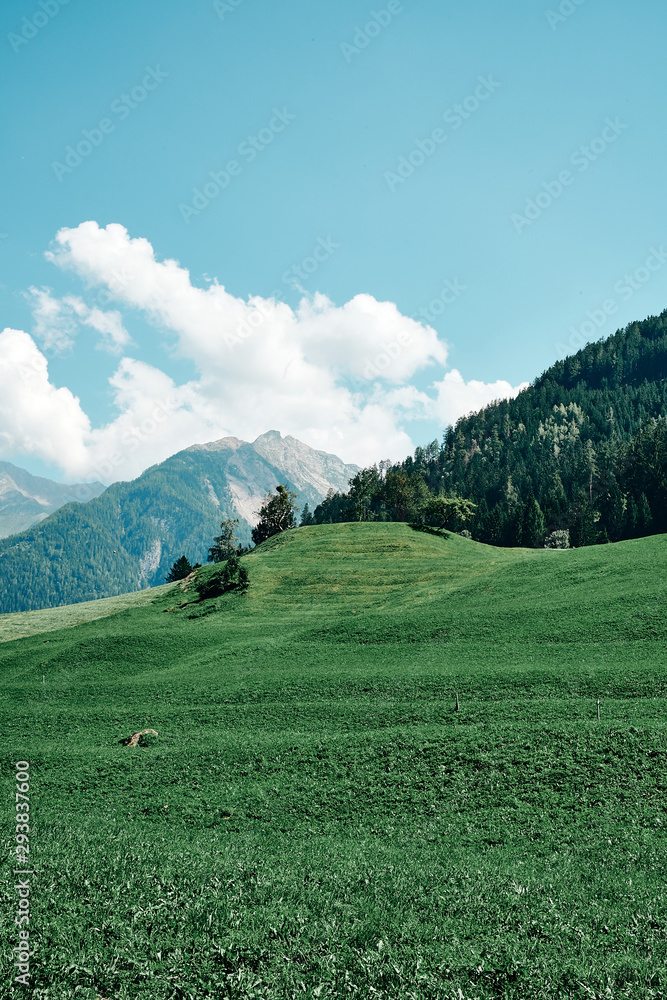 Schöne Almwiese Berg Hintergrund Wandern