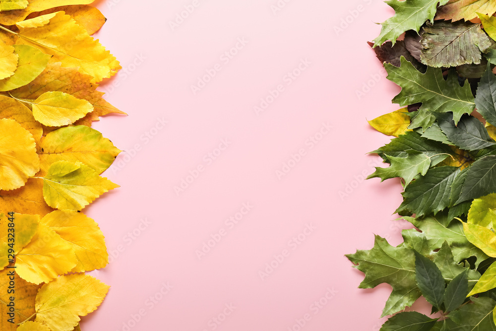 Beautiful autumn leaves on pink background