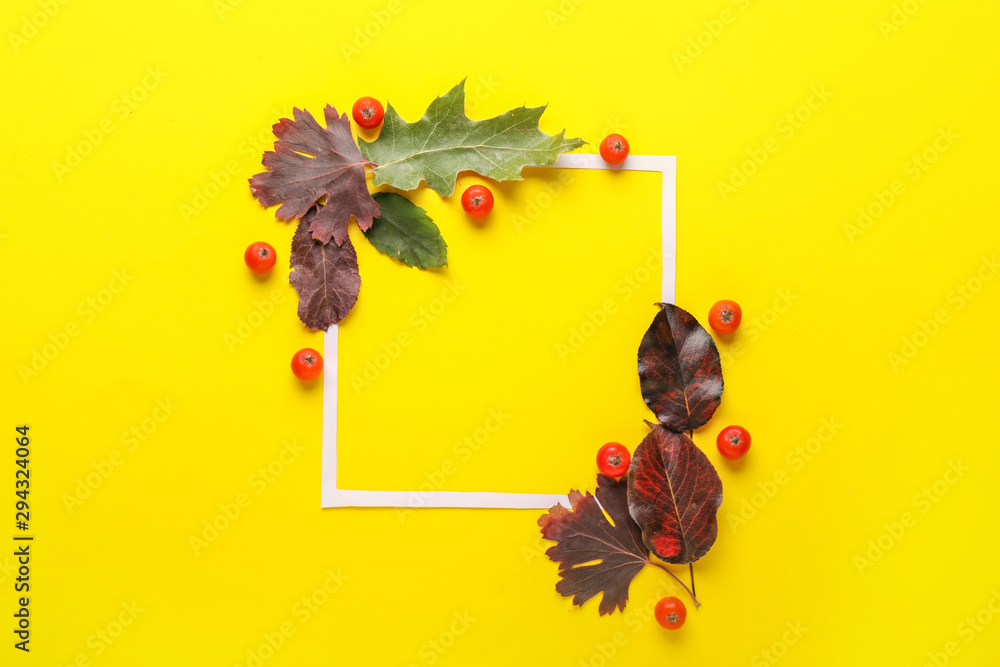 Frame and beautiful autumn leaves on color background