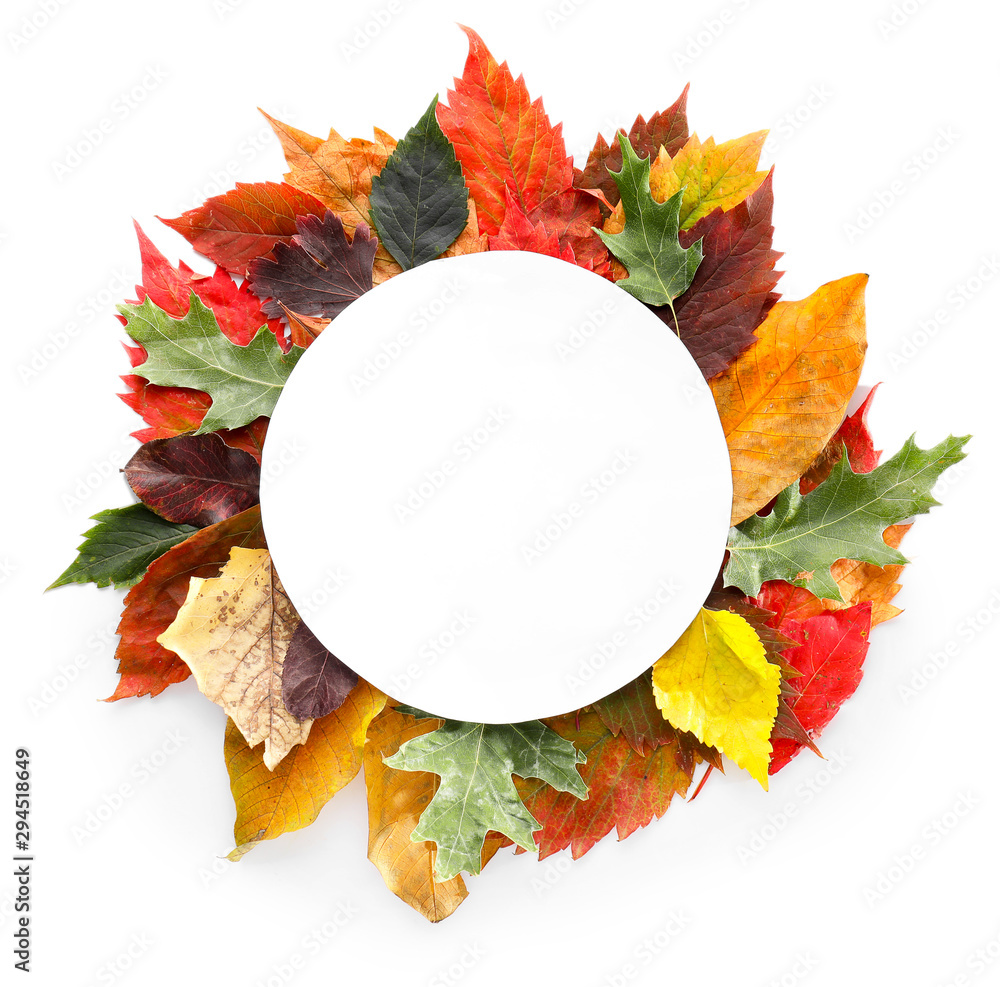 Beautiful autumn leaves and blank card on white background