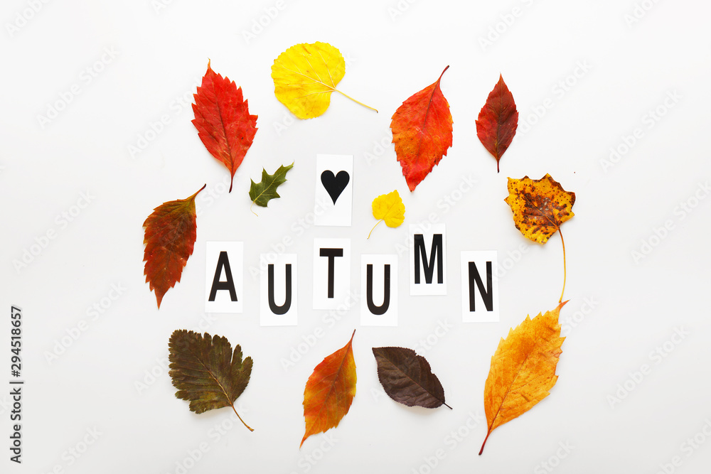 Colorful leaves and word AUTUMN on white background