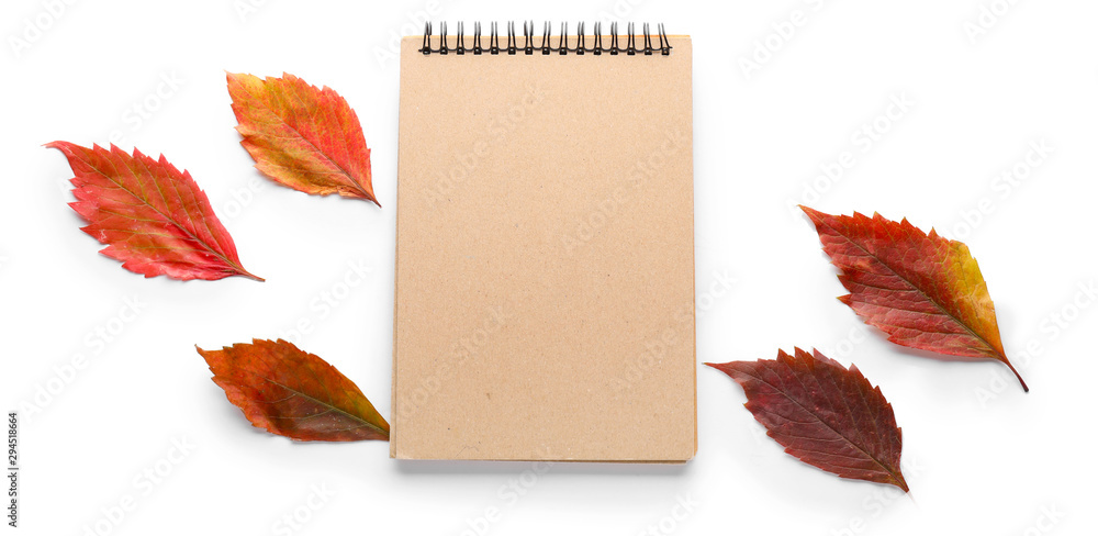 Beautiful autumn leaves and blank notebook on white background