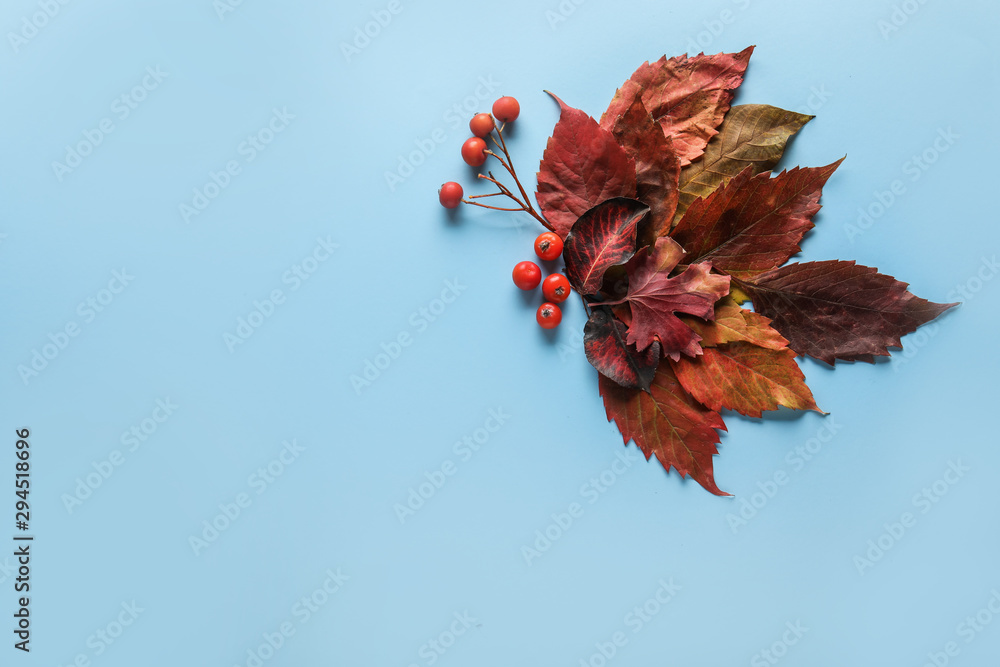 Beautiful autumn leaves on color background