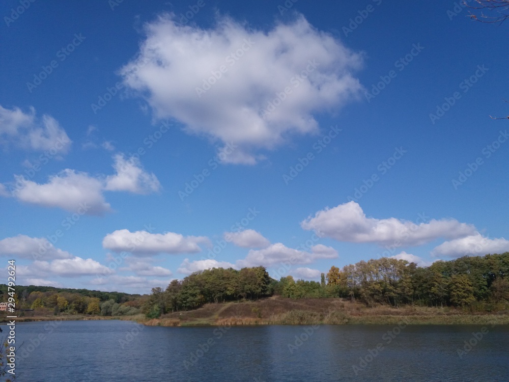 树。自然。森林。风景。秋天。