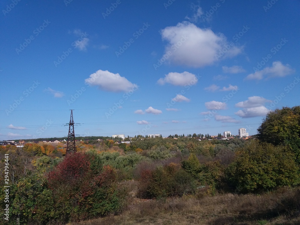 树木。自然。森林。风景。秋天。