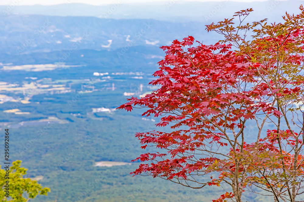 岩手山から見る景色　紅葉の楓