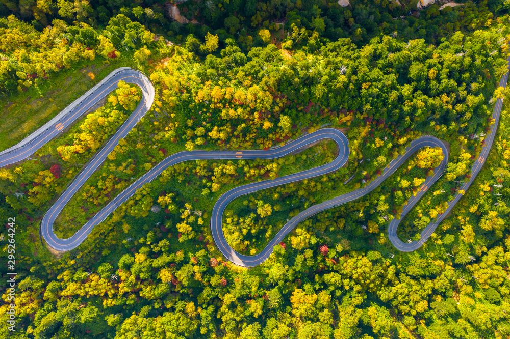 秋季山路蜿蜒鸟瞰图