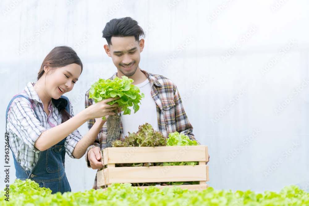 水培温室农场与情侣亚洲伴侣微笑自信小心牵手蔬菜