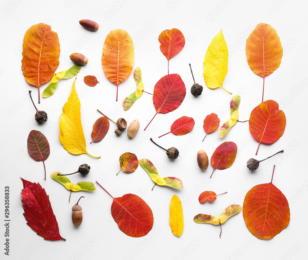 Beautiful autumn composition with many leaves on white background