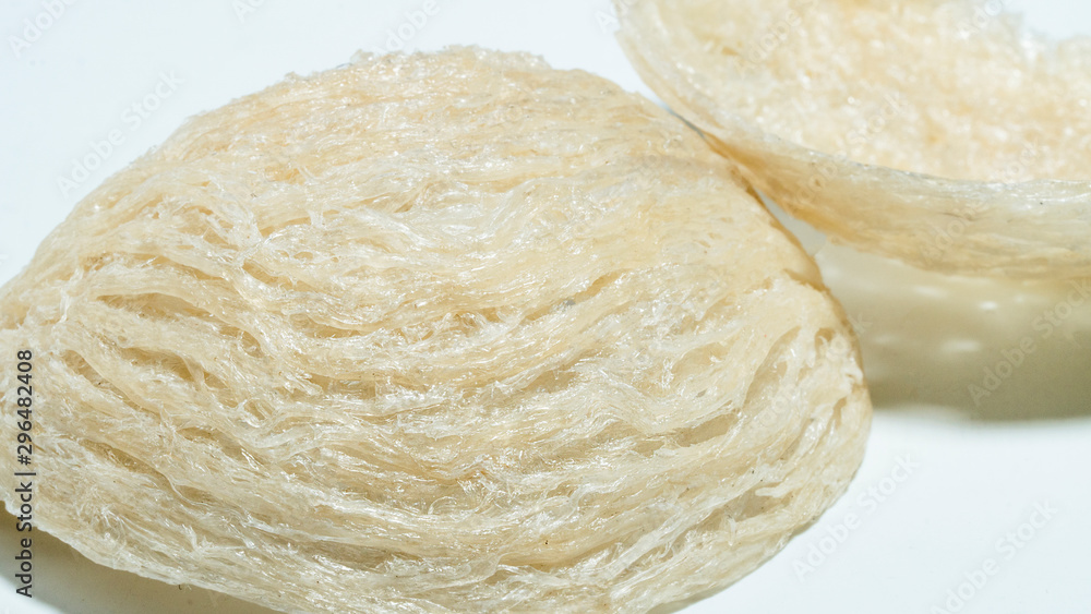 swiftlet nest on white background