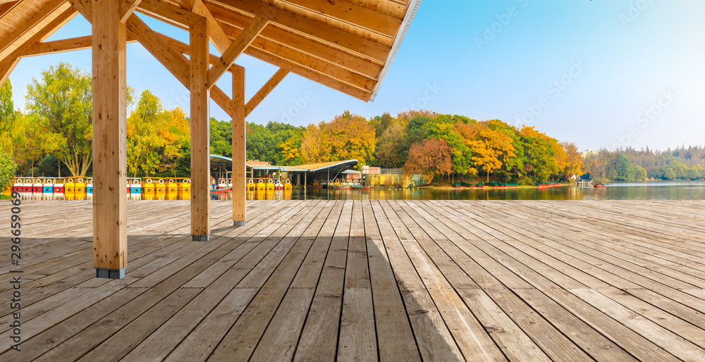 城市公园里空旷的木板广场和美丽的彩色森林