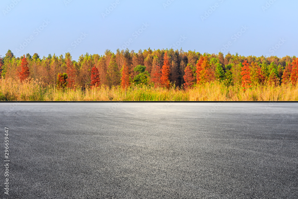 空旷的赛道场地和美丽多彩的秋季森林景观