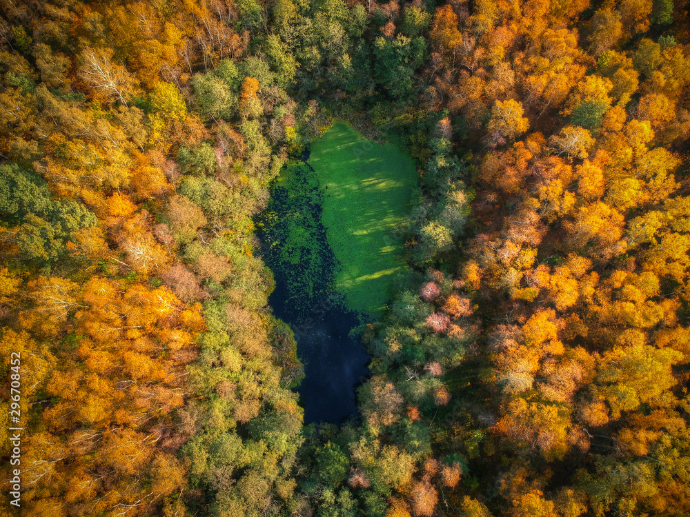 Amazing autumnal landscape of small pond in the forest, Poland