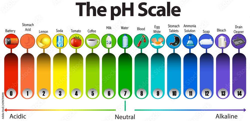 白色背景上的pH刻度