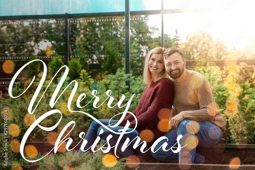 Couple choosing Christmas tree in greenhouse