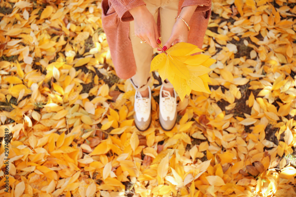 Beautiful young woman in autumn park