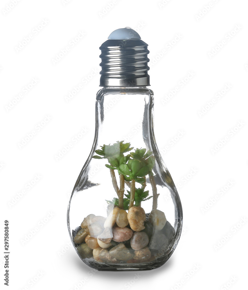 Decorative light bulb with plants inside on white background