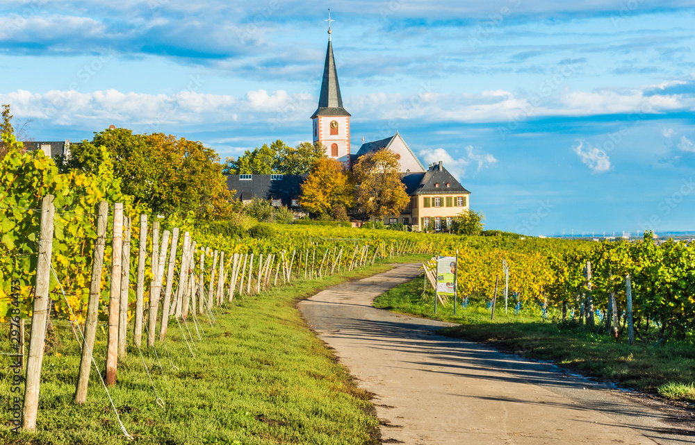 Hochheim St. Peter und Paul und Weinberge