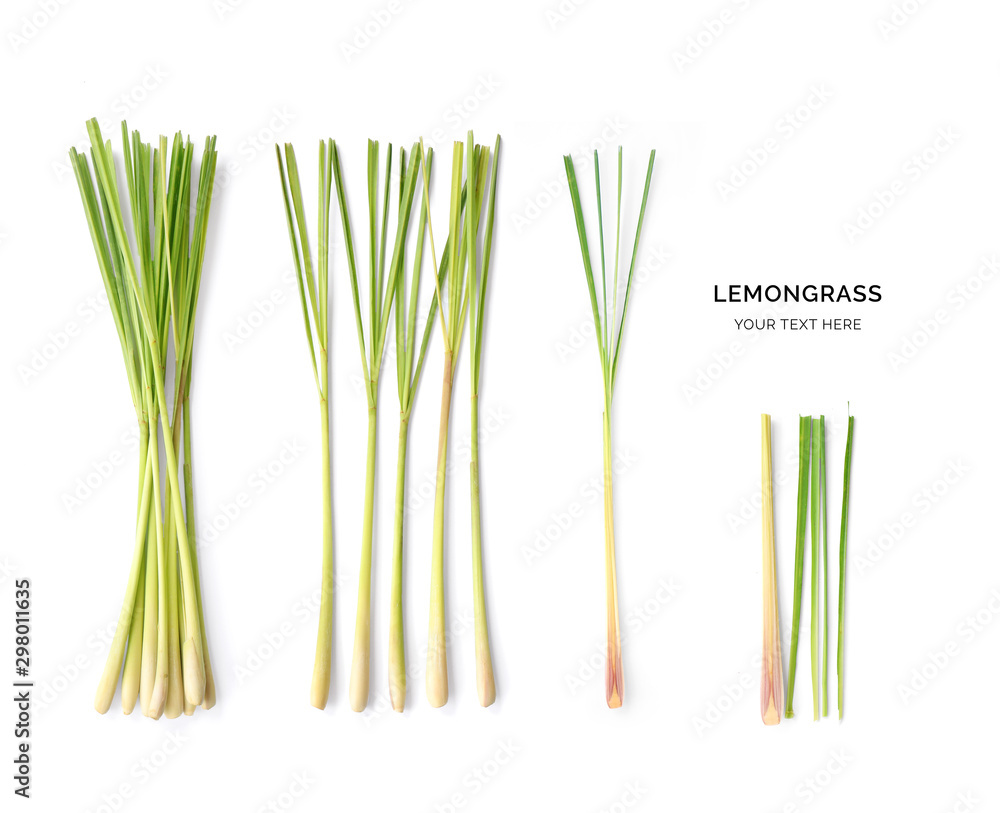 Creative layout made of lemongrass. Flat lay. Food concept. Macro concept.