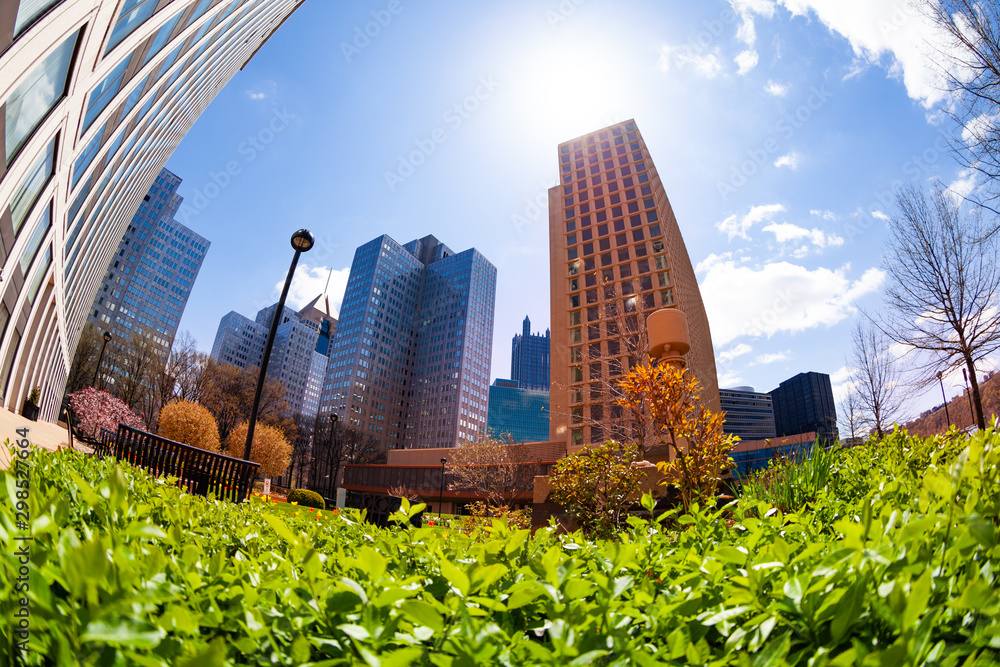 Green summer grass over Pittsburg high buildings