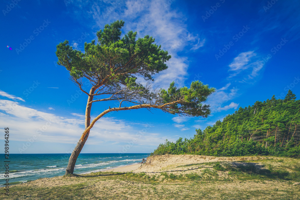 Beautiful landscape. View of coastline. Shot of Baltic sea.