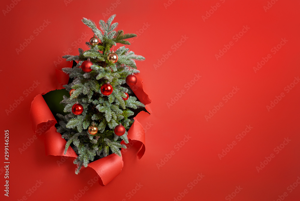 Christmas tree  on bright red background.