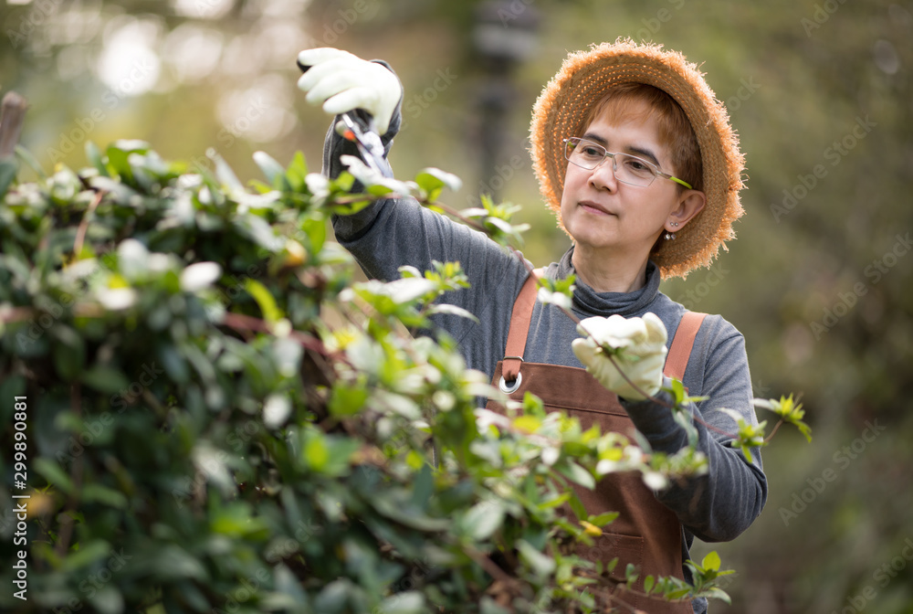 中年亚洲女园丁在花园里修剪植物