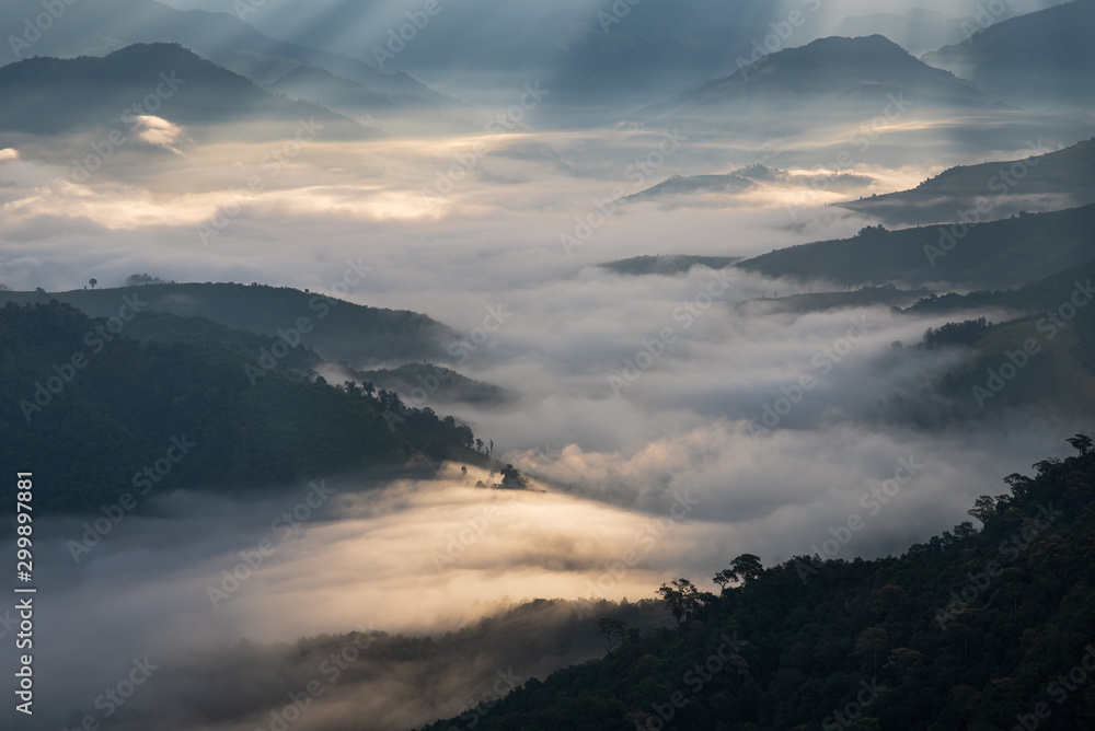 山上晨雾