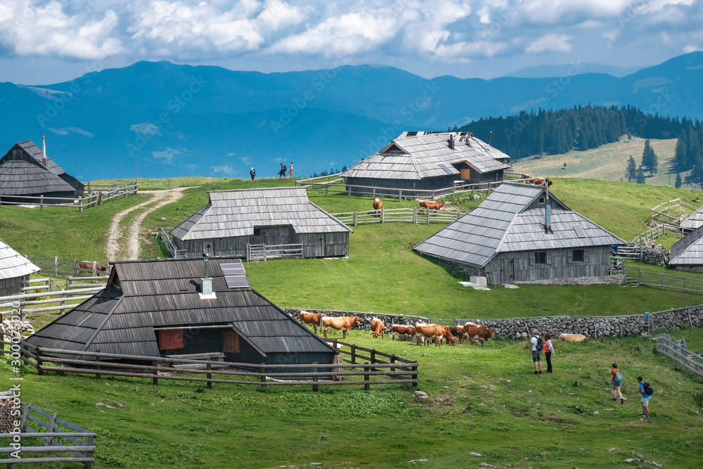 Kamnik Velika planina（大牧场高原）村庄的牧场和传统木屋